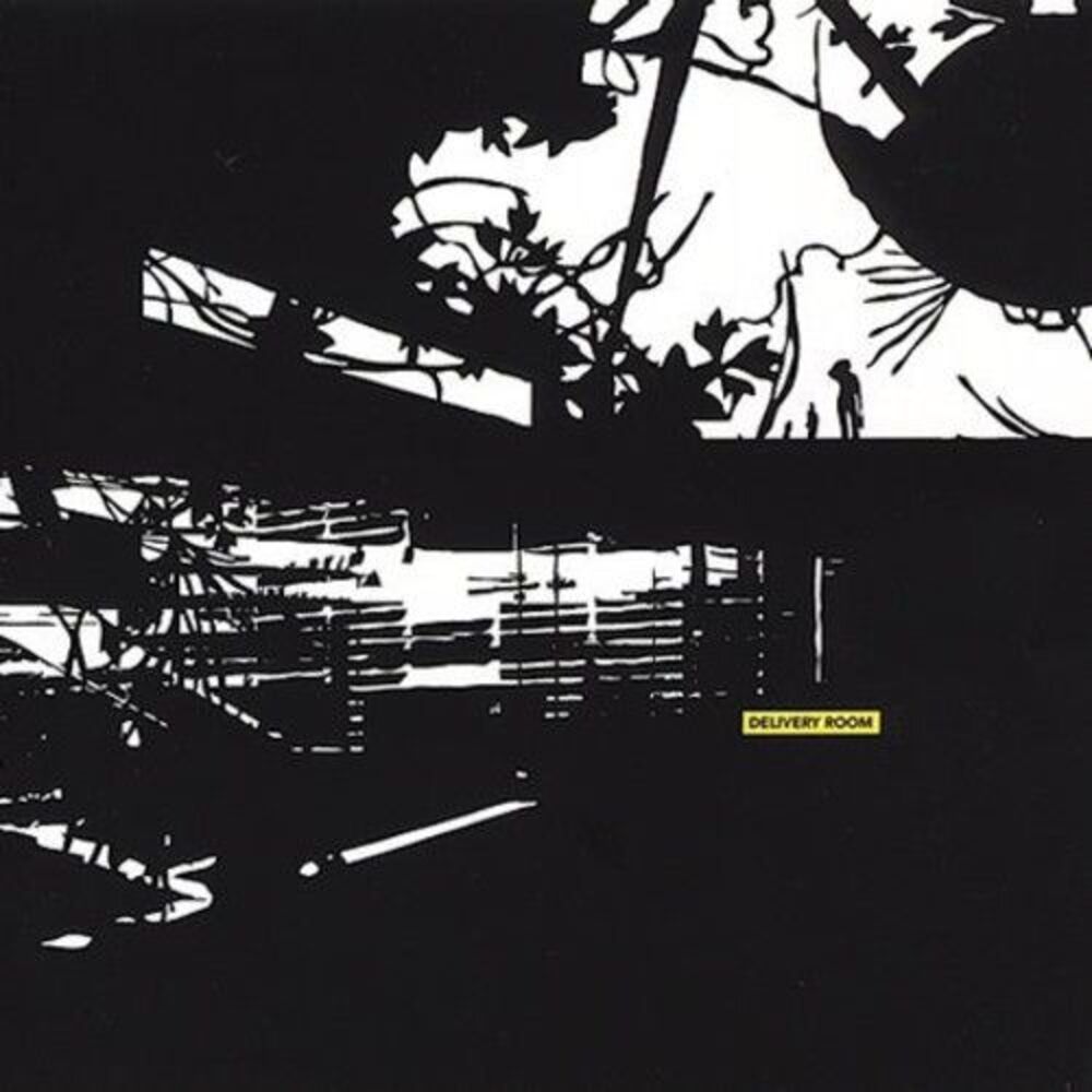 Various Artists - Delivery Room  CD
